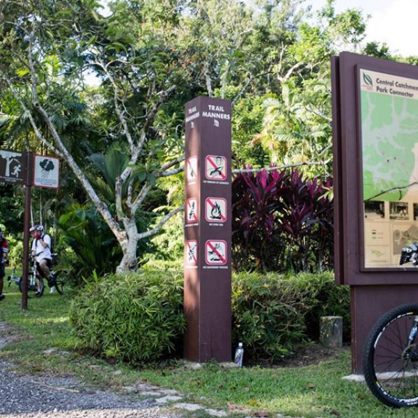 Mandai T15
